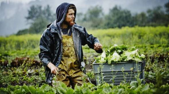 Επιδοτήσεις έως 50.000 ευρώ από το ΕΣΠΑ σε αγρότες με πτυχίο