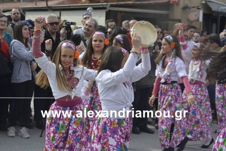 Εντυπωσιακή και με ευρηματικά άρματα η αποκριάτικη παρέλαση 2019 στο Μελικιώτικο Καρναβάλι ( Φωτορεπορτάζ 2)