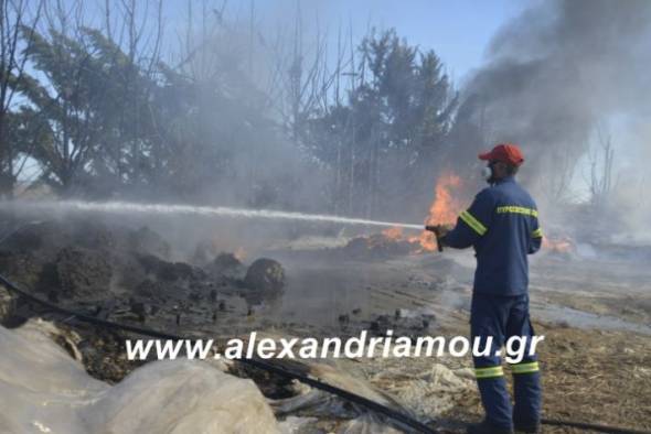 &Epsilon;&gamma;&kappa;&rho;ί&theta;&eta;&kappa;&epsilon; &eta; &pi;&rho;ό&sigma;&lambda;&eta;&psi;&eta; 876 &pi;&upsilon;&rho;&omicron;&sigma;&beta;&epsilon;&sigma;&tau;ώ&nu; &pi;&epsilon;&nu;&tau;&alpha;&epsilon;&tau;&omicron;ύ&sigmaf; &upsilon;&pi;&omicron;&chi;&rho;έ&omega;&sigma;&eta;&sigmaf;