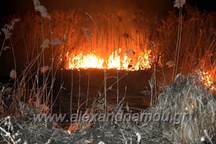 Φωτιά στη θέση ¨Παλιομάνα¨ στο Νησέλι Ημαθίας(φωτο-βίντεο)