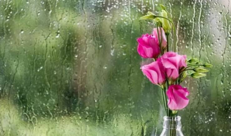 &Kappa;&alpha;&iota;&rho;ό&sigmaf;:&laquo;&Theta;&alpha; &kappa;&omicron;&iota;&mu;&eta;&theta;&omicron;ύ&mu;&epsilon; &mu;&epsilon; ά&nu;&omicron;&iota;&xi;&eta;, &theta;&alpha; &xi;&upsilon;&pi;&nu;ή&sigma;&omicron;&upsilon;&mu;&epsilon; &mu;&epsilon; &chi;&epsilon;&iota;&mu;ώ&nu;&alpha;&raquo; &ndash; &Psi;&upsilon;&chi;&rho;ή &epsilon;&iota;&sigma;&beta;&omicron;&lambda;ή &tau;&eta;&nu; &Pi;&rho;&omega;&tau;&omicron;&mu;&alpha;&gamma;&iota;ά - Ά&sigma;&tau;&alpha;&tau;&omicron;&sigmaf; &kappa;&alpha;&iota;&rho;ό&sigmaf; &kappa;&alpha;&iota; &tau;&omicron; &Sigma;&alpha;&beta;&beta;&alpha;&tau;&omicron;&kappa;ύ&rho;&iota;&alpha;&kappa;&omicron;