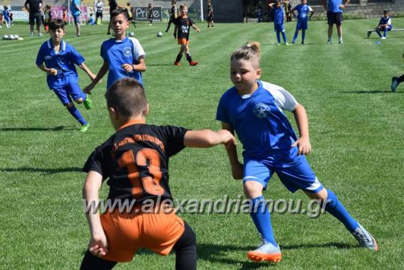 O A&sigma;&tau;έ&rho;&alpha;&sigmaf; &Alpha;&lambda;&epsilon;&xi;ά&nu;&delta;&rho;&epsilon;&iota;&alpha;&sigmaf; &sigma;&epsilon; &Tau;&omicron;&upsilon;&rho;&nu;&omicron;&upsilon;ά &sigma;&tau;&omicron;&nu; &Kappa;&omicron;&lambda;&iota;&nu;&delta;&rho;ό (&Phi;ώ&tau;&omicron;-&beta;ί&nu;&tau;&epsilon;&omicron;)