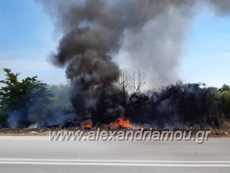 Φωτιά ξέσπασε στον δρόμο ανάμεσα Αλεξάνδρεια-Σχοινά (φώτο-βίντεο)