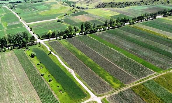 &Delta;&eta;&mu;&omicron;&pi;&rho;&alpha;&sigma;ί&alpha; &gamma;&iota;&alpha; &tau;&eta;&nu; &epsilon;&kappa;&mu;ί&sigma;&theta;&omega;&sigma;&eta; &alpha;&gamma;&rho;&omicron;&tau;&epsilon;&mu;&alpha;&chi;ί&omicron;&upsilon; &sigma;&tau;&eta;&nu; &Delta;/&Kappa; &Pi;&lambda;&alpha;&tau;έ&omicron;&sigmaf;