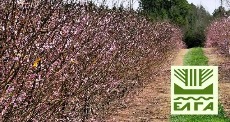 &Alpha;&nu;&alpha;&kappa;&omicron;&iota;&nu;ώ&theta;&eta;&kappa;&alpha;&nu; &tau;&alpha; &pi;&omicron;&rho;ί&sigma;&mu;&alpha;&tau;&alpha; &gamma;&iota;&alpha; &epsilon;&kappa;&tau;&iota;&mu;ή&sigma;&epsilon;&iota;&sigmaf; &zeta;&eta;&mu;&iota;ώ&nu; &alpha;&pi;ό &Pi;&alpha;&gamma;&epsilon;&tau;ό &gamma;&iota;&alpha; &tau;&iota;&sigmaf; &kappa;&alpha;&lambda;&lambda;&iota;έ&rho;&gamma;&epsilon;&iota;&epsilon;&sigmaf; &tau;&eta;&sigmaf; &Delta;/&Kappa; &Alpha;&lambda;&epsilon;&xi;ά&nu;&delta;&rho;&epsilon;&iota;&alpha;&sigmaf;