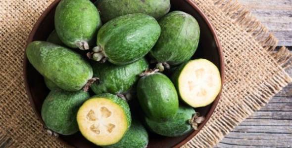 &Phi;&epsilon;ϊ&zeta;ό&alpha;: &Tau;&omicron; &laquo;&epsilon;&xi;&omega;&tau;&iota;&kappa;ό &sigma;&tau;&omicron;ί&chi;&eta;&mu;&alpha;&raquo; &pi;&omicron;&upsilon; &epsilon;&pi;&iota;&delta;&iota;ώ&kappa;&epsilon;&iota; &nu;&alpha; &rho;&iota;&zeta;ώ&sigma;&epsilon;&iota; &sigma;&tau;&eta;&nu; &Eta;&mu;&alpha;&theta;ί&alpha;