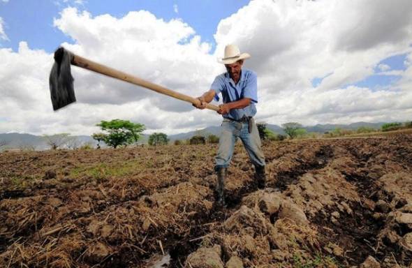 &Pi;&alpha;&rho;ά&tau;&alpha;&sigma;&eta; έ&omega;&sigmaf; 28 &Phi;&epsilon;&beta;&rho;&omicron;&upsilon;&alpha;&rho;ί&omicron;&upsilon; &sigma;&tau;&alpha; &alpha;&iota;&tau;ή&mu;&alpha;&tau;&alpha; &gamma;&iota;&alpha; &mu;&epsilon;&tau;ά&kappa;&lambda;&eta;&sigma;&eta; &epsilon;&rho;&gamma;&alpha;&tau;ώ&nu;