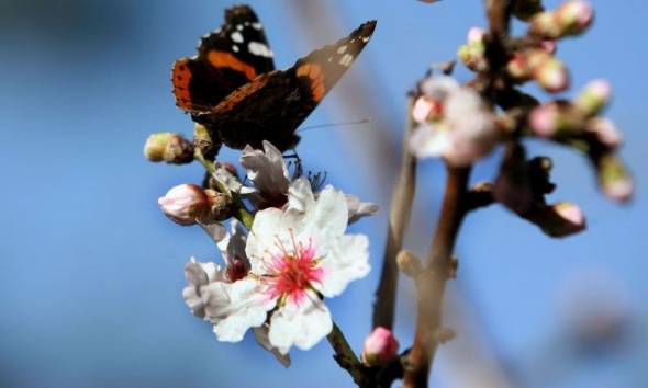 &Kappa;&alpha;&iota;&rho;ό&sigmaf;: Ά&nu;&omicron;&delta;&omicron;&sigmaf; &tau;&eta;&sigmaf; &theta;&epsilon;&rho;&mu;&omicron;&kappa;&rho;&alpha;&sigma;ί&alpha;&sigmaf; - &laquo;&Mu;&upsilon;&rho;ί&zeta;&epsilon;&iota;&raquo; ά&nu;&omicron;&iota;&xi;&eta;