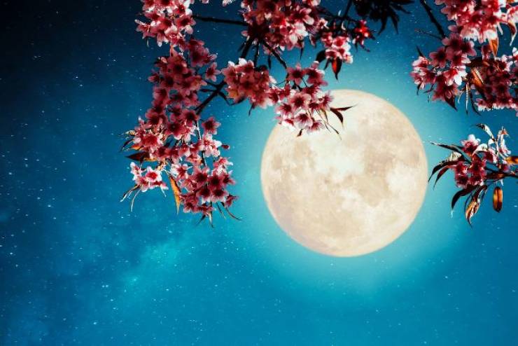 Φεγγάρι της Φράουλας: Έρχεται η τελευταία υπερπανσέληνος του χρόνου