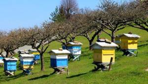 &Alpha;&iota;&tau;ή&sigma;&epsilon;&iota;&sigmaf; &mu;&epsilon;&lambda;&iota;&sigma;&sigma;&omicron;&kappa;ό&mu;&omega;&nu; &Eta;&mu;&alpha;&theta;ί&alpha;&sigmaf; &gamma;&iota;&alpha; &epsilon;&pi;&iota;&delta;&omicron;&tau;ή&sigma;&epsilon;&iota;&sigmaf; &epsilon;&xi;&omicron;&pi;&lambda;&iota;&sigma;&mu;&omicron;ύ &kappa;&alpha;&iota; &mu;&epsilon;&tau;&alpha;&kappa;&iota;&nu;ή&sigma;&epsilon;&omega;&nu; έ&omega;&sigmaf; 30 &Mu;&alpha;ΐ&omicron;&upsilon; 2026