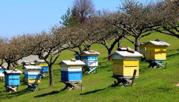 &Alpha;&iota;&tau;ή&sigma;&epsilon;&iota;&sigmaf; &mu;&epsilon;&lambda;&iota;&sigma;&sigma;&omicron;&kappa;ό&mu;&omega;&nu; &Eta;&mu;&alpha;&theta;ί&alpha;&sigmaf; &gamma;&iota;&alpha; &epsilon;&pi;&iota;&delta;&omicron;&tau;ή&sigma;&epsilon;&iota;&sigmaf; &epsilon;&xi;&omicron;&pi;&lambda;&iota;&sigma;&mu;&omicron;ύ &kappa;&alpha;&iota; &mu;&epsilon;&tau;&alpha;&kappa;&iota;&nu;ή&sigma;&epsilon;&omega;&nu; έ&omega;&sigmaf; 30 &Mu;&alpha;ΐ&omicron;&upsilon; 2026