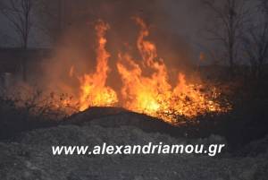 Μεγάλη φωτιά κοντά σε σπίτια στο Σχοινά Ημαθίας (φώτο-βίντεο)
