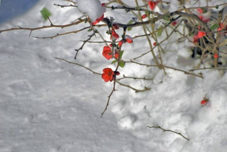 Έρχεται μαρτιάτικος χιονιάς από Μακεδονία μέχρι Κρήτη