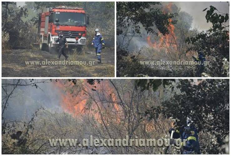 Ανεξέλεγκτες εστίες φωτιάς και καπνοί πίσω από την Αγία Κυριακή στο Λουτρό Ημαθίας