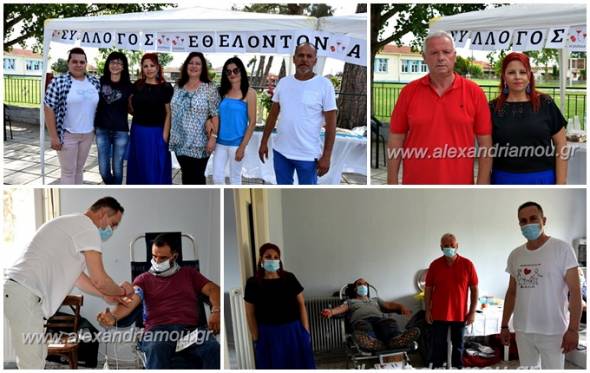 &Eta; 1&eta; &Epsilon;&theta;&epsilon;&lambda;&omicron;&nu;&tau;&iota;&kappa;ή &Alpha;&iota;&mu;&omicron;&delta;&omicron;&sigma;ί&alpha; &sigma;&tau;&omicron; &Nu;&epsilon;&omicron;&chi;ώ&rho;&iota;...&xi;&epsilon;&chi;&omega;&rho;&iota;&sigma;&tau;ή &mu;&epsilon; &alpha;&xi;&iota;&omicron;&sigma;&eta;&mu;&epsilon;ί&omega;&tau;&eta; &delta;&iota;ά&theta;&epsilon;&sigma;&eta; &pi;&rho;&omicron;&sigma;&phi;&omicron;&rho;ά&sigmaf;!(&Phi;&omega;&tau;&omicron;-&beta;ί&nu;&tau;&epsilon;&omicron;)