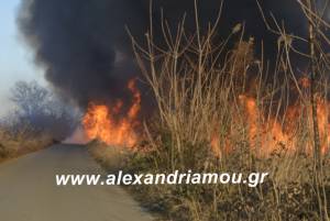 Επί ποδός η Π.Υ. Αλεξάνδρειας-Πολλαπλές εστίες φωτιάς και σε διαφορετικά σημεία στο δήμο Αλεξάνδρειας (φώτο-βίντεο)