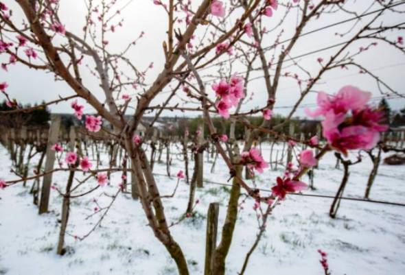 &Kappa;&alpha;&lambda;ό &mu;ή&nu;&alpha;! &Nu;έ&alpha; &epsilon;&pi;&iota;&delta;&epsilon;ί&nu;&omega;&sigma;&eta; &tau;&omicron;&upsilon; &kappa;&alpha;&iota;&rho;&omicron;ύ: &Mu;&epsilon; &kappa;&alpha;&tau;&alpha;&iota;&gamma;ί&delta;&epsilon;&sigmaf; &kappa;&alpha;&iota; &chi;&iota;ό&nu;&iota;&alpha; &xi;&epsilon;&kappa;&iota;&nu;ά &omicron; &Mu;ά&rho;&tau;&iota;&omicron;&sigmaf;
