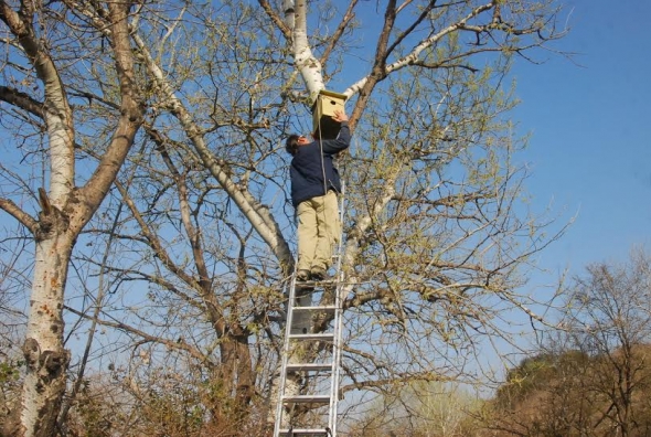 &Tau;&omicron;&pi;&omicron;&theta;έ&tau;&eta;&sigma;&eta; &tau;&epsilon;&chi;&nu;&eta;&tau;ώ&nu; &phi;&omega;&lambda;&iota;ώ&nu; &sigma;&tau;&omicron; &Epsilon;&theta;&nu;&iota;&kappa;ό &Pi;ά&rho;&kappa;&omicron; &Delta;έ&lambda;&tau;&alpha; &Alpha;&xi;&iota;&omicron;ύ
