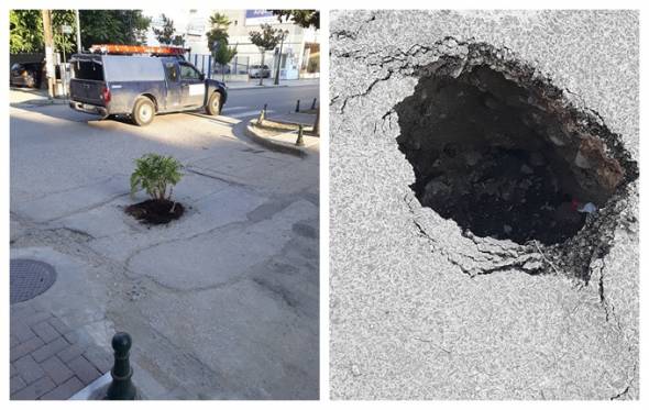 &Phi;ώ&tau;&omicron; &tau;&eta;&sigmaf; &eta;&mu;έ&rho;&alpha;&sigmaf; &sigma;&tau;&eta;&nu; &Alpha;&lambda;&epsilon;&xi;ά&nu;&delta;&rho;&epsilon;&iota;&alpha; : &Phi;&upsilon;&tau;&epsilon;ύ&omicron;&upsilon;&nu; &lambda;&omicron;&upsilon;&lambda;&omicron;ύ&delta;&iota;&alpha; &sigma;&tau;&iota;&sigmaf; &lambda;&alpha;&kappa;&kappa;&omicron;ύ&beta;&epsilon;&sigmaf; &tau;&omega;&nu; &delta;&rho;ό&mu;&omega;&nu;