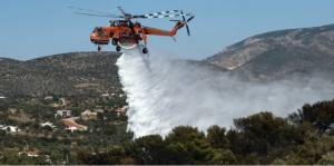 Φωτιά στον Όλυμπο – Κοντά στο καταφύγιο της Κορομηλιάς