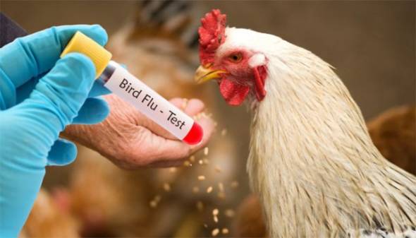 E&nu;&eta;&mu;έ&rho;&omega;&sigma;&eta; &alpha;&pi;ό &tau;&eta; &Delta;&iota;&epsilon;ύ&theta;&upsilon;&nu;&sigma;&eta; &Kappa;&tau;&eta;&nu;&iota;&alpha;&tau;&rho;&iota;&kappa;ή&sigmaf; &Pi;&epsilon;&rho;&iota;&phi;έ&rho;&epsilon;&iota;&alpha;&sigmaf; &Kappa;&epsilon;&nu;&tau;&rho;&iota;&kappa;ή&sigmaf; &Mu;&alpha;&kappa;&epsilon;&delta;&omicron;&nu;ί&alpha;&sigmaf; &gamma;&iota;&alpha; &tau;&eta; &gamma;&rho;ί&pi;&eta; &tau;&omega;&nu; &pi;&tau;&eta;&nu;ώ&nu;