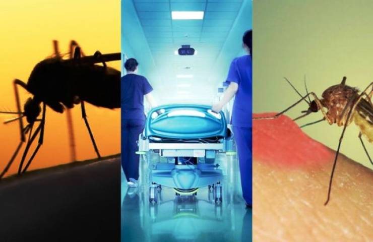 ΕΟΔΥ: Προφυλαχθείτε από τα κουνούπια και τον ιό του Δυτικού Νείλου