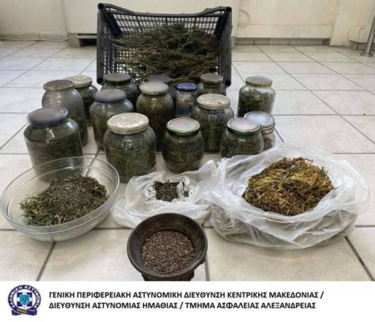 Τμήμα Ασφάλειας Αλεξάνδρειας: Σκύλος "ξετρύπωσε" σε αποθήκη ποσότητα κάνναβης