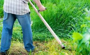 &Delta;ή&mu;&omicron;&sigmaf; &Alpha;&lambda;&epsilon;&xi;ά&nu;&delta;&rho;&epsilon;&iota;&alpha;&sigmaf;: &Alpha;&nu;&alpha;&kappa;&omicron;ί&nu;&omega;&sigma;&eta; &gamma;&iota;&alpha; &tau;&omicron;&nu; &kappa;&alpha;&theta;&alpha;&rho;&iota;&sigma;&mu;ό &omicron;&iota;&kappa;&omicron;&pi;&epsilon;&delta;&iota;&kappa;ώ&nu; &kappa;&alpha;&iota; &lambda;&omicron;&iota;&pi;ώ&nu; &alpha;&kappa;ά&lambda;&upsilon;&pi;&tau;&omega;&nu; &chi;ώ&rho;&omega;&nu; &pi;&rho;&omicron;&sigmaf; &alpha;&pi;&omicron;&phi;&upsilon;&gamma;ή &epsilon;&kappa;&delta;ή&lambda;&omega;&sigma;&eta;&sigmaf; &pi;&upsilon;&rho;&kappa;&alpha;&gamma;&iota;ώ&nu;