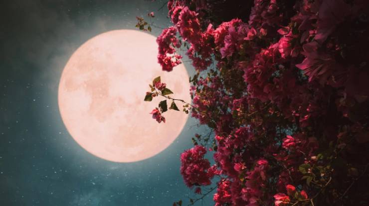 &Pi;&alpha;&nu;&sigma;έ&lambda;&eta;&nu;&omicron;&sigmaf; &Alpha;&pi;&rho;&iota;&lambda;ί&omicron;&upsilon; 2026: &Pi;ό&tau;&epsilon; &theta;&alpha; &delta;&omicron;ύ&mu;&epsilon; &tau;&omicron; &Rho;&omicron;&zeta; &Phi;&epsilon;&gamma;&gamma;ά&rho;&iota;