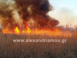 Μεγάλη φωτιά στη θέση ¨Παλιομάνα¨ στο Νησέλι