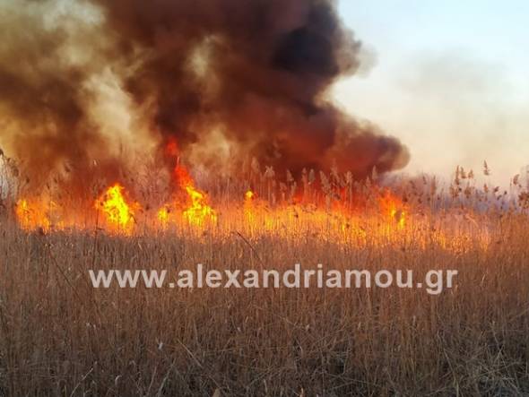 Μεγάλη φωτιά στη θέση ¨Παλιομάνα¨ στο Νησέλι