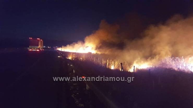 Φωτιά στην Εγνατία οδό στο ύψος Κλειδίου Ημαθίας(φώτο)