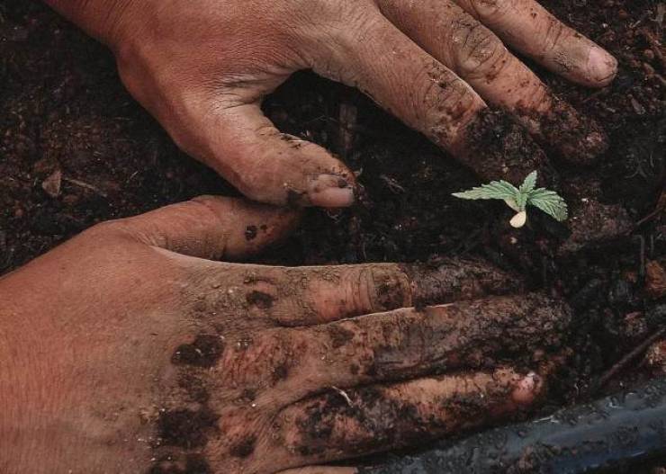 Υψηλό κόστος παραγωγής, μείωση αγροτικού εισοδήματος και πτώση των τιμών στα προϊόντα προβληματίζουν τους αγρότες