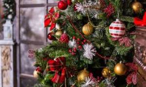 Το Σάββατο 7 Δεκεμβρίου η φωταγώγηση του Χριστουγεννιάτικου δέντρου στο Νεοχώρι Ημαθίας