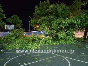 Βομβαρδισμένο τοπίο από το μπουρίνι το Αμφιθέατρο Αλεξάνδρειας(φωτο)