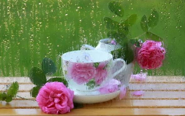 &Kappa;&alpha;&iota;&rho;ό&sigmaf;: &Pi;&lambda;&eta;&sigma;&iota;ά&zeta;&epsilon;&iota; &tau;&omicron; &phi;&theta;&iota;&nu;ό&pi;&omega;&rho;&omicron; - &Delta;&epsilon;&upsilon;&tau;έ&rho;&alpha; &mu;&epsilon; &beta;&rho;&omicron;&chi;έ&sigmaf; &kappa;&alpha;&iota; &mu;&iota;&kappa;&rho;ή &pi;&tau;ώ&sigma;&eta; &tau;&eta;&sigmaf; &theta;&epsilon;&rho;&mu;&omicron;&kappa;&rho;&alpha;&sigma;ί&alpha;&sigmaf;