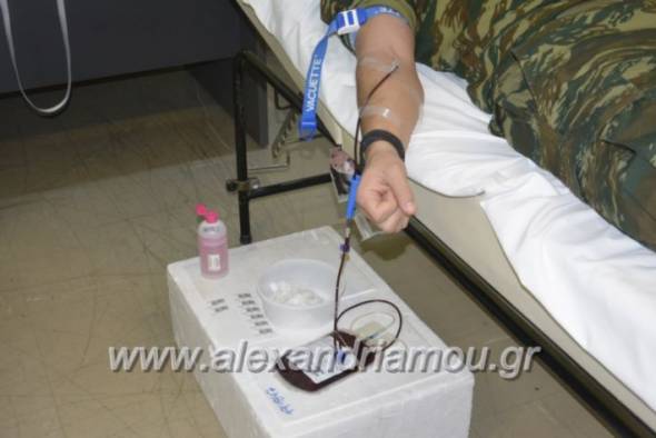 &Epsilon;&theta;&epsilon;&lambda;&omicron;&nu;&tau;&iota;&kappa;ή &alpha;&iota;&mu;&omicron;&delta;&omicron;&sigma;ί&alpha; &sigma;&tau;&omicron; &Pi;&lambda;&alpha;&tau;ύ