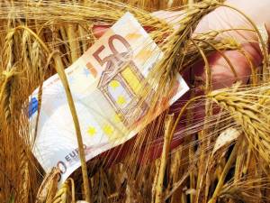 ΟΠΕΚΕΠΕ: Πότε πληρώνονται οι αγροτικές επιδοτήσεις και η εξισωτική