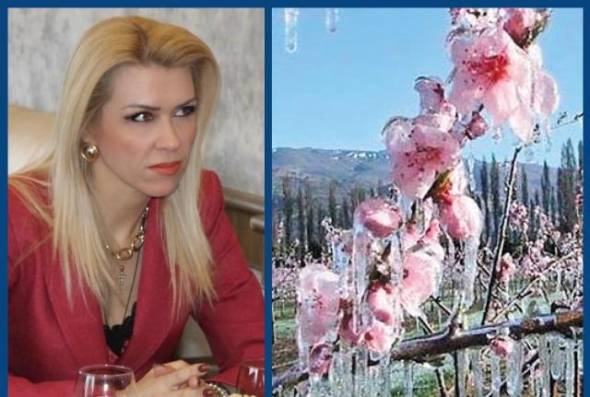 Λίνα Τουπεκτσή: Αποζημιώσεις για τον παγετό και μέτρα πρόληψης των Ελλήνων παραγωγών για το μέλλον