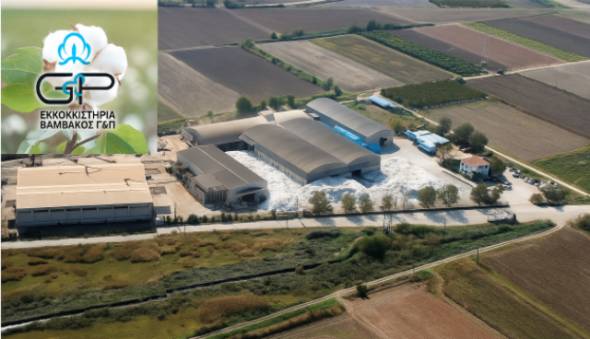 Η εταιρεία Γ &amp; Π ΕΚΚΟΚΚΙΣΤΗΡΙΑ ΒΑΜΒΑΚΟΣ Α.Ε στην Κυψέλη Ημαθίας αναζητά εποχιακό προσωπικό