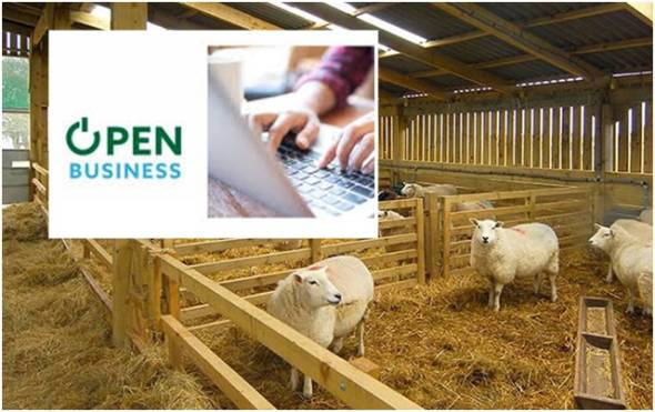 &Pi;&Epsilon; &Eta;&mu;&alpha;&theta;ί&alpha;&sigmaf;: &Upsilon;&pi;&omicron;&chi;&rho;&epsilon;&omega;&tau;&iota;&kappa;ή &kappa;&alpha;&tau;&alpha;&chi;ώ&rho;&iota;&sigma;&eta; &kappa;&tau;&eta;&nu;&omicron;&tau;&rho;&omicron;&phi;&iota;&kappa;ώ&nu; &epsilon;&gamma;&kappa;&alpha;&tau;&alpha;&sigma;&tau;ά&sigma;&epsilon;&omega;&nu; &sigma;&tau;&omicron; OpenBusiness έ&omega;&sigmaf; 31/12/2025