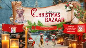 &Chi;&rho;&iota;&sigma;&tau;&omicron;&upsilon;&gamma;&epsilon;&nu;&nu;&iota;ά&tau;&iota;&kappa;&omicron; &Phi;&iota;&lambda;&omicron;&zeta;&omega;&iota;&kappa;ό Bazaar &sigma;&tau;&eta;&nu; &Alpha;&lambda;&epsilon;&xi;ά&nu;&delta;&rho;&epsilon;&iota;&alpha;!