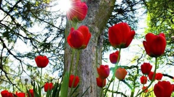 &Kappa;&alpha;&iota;&rho;ό&sigmaf;:T&omicron; &tau;έ&lambda;&omicron;&sigmaf; &tau;&eta;&sigmaf; &kappa;&alpha;&kappa;&omicron;&kappa;&alpha;&iota;&rho;ί&alpha;&sigmaf;  έ&phi;&theta;&alpha;&sigma;&epsilon; - &Sigma;&alpha;&beta;&beta;&alpha;&tau;&omicron;&kappa;ύ&rho;&iota;&alpha;&kappa;&omicron;...Ά&nu;&omicron;&iota;&xi;&eta;