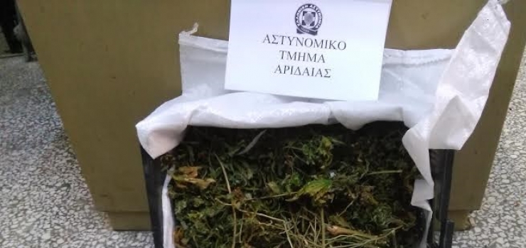 Συνελήφθη 38χρονος για καλλιέργεια κάνναβης