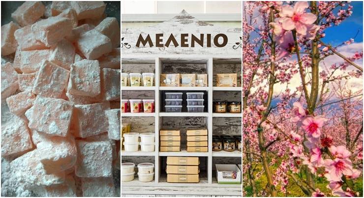 &Tau;&omicron; &Mu;&Epsilon;&Lambda;&Epsilon;&Nu;&Iota;&Omicron; &chi;&omicron;&rho;&eta;&gamma;ό&sigmaf; &sigma;&tau;&eta;&nu; 1&eta; &Gamma;&iota;&omicron;&rho;&tau;ή Ά&nu;&omicron;&iota;&xi;&eta;&sigmaf; - &Alpha;&nu;&theta;&iota;&sigma;&mu;έ&nu;&epsilon;&sigmaf; &Rho;&omicron;&delta;&alpha;&kappa;&iota;&nu;&iota;έ&sigmaf; &mu;&epsilon; &nu;&eta;&sigma;&tau;ί&sigma;&iota;&mu;&omicron; &lambda;&omicron;&upsilon;&kappa;&omicron;ύ&mu;&iota; &rho;&omicron;&delta;ά&kappa;&iota;&nu;&omicron;! &Pi;&alpha;&nu;&delta;&alpha;&iota;&sigma;ί&alpha; &chi;&rho;&omega;&mu;ά&tau;&omega;&nu; &amp; &alpha;&rho;&omega;&mu;ά&tau;&omega;&nu;!