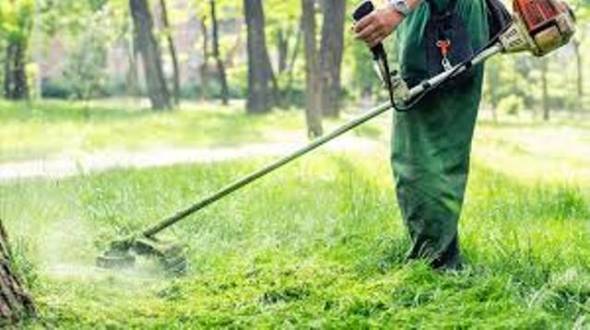 Καθαρισμός οικοπέδων: Ανακοινώθηκε παράταση στην προθεσμία