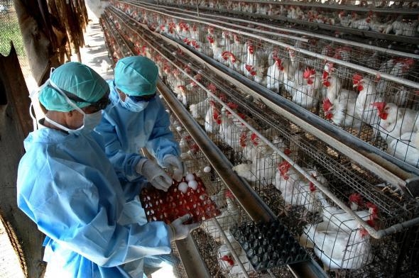 &Alpha;&nu;&alpha;&kappa;&omicron;ί&nu;&omega;&sigma;&eta; &alpha;&pi;ό &tau;&eta; &Delta;&iota;&epsilon;ύ&theta;&upsilon;&nu;&sigma;&eta; &Kappa;&tau;&eta;&nu;&iota;&alpha;&tau;&rho;&iota;&kappa;ή&sigmaf; &tau;&eta;&sigmaf; &Pi;&epsilon;&rho;&iota;&phi;έ&rho;&epsilon;&iota;&alpha;&sigmaf; &Kappa;&epsilon;&nu;&tau;&rho;&iota;&kappa;ή&sigmaf; &Mu;&alpha;&kappa;&epsilon;&delta;&omicron;&nu;ί&alpha;&sigmaf;