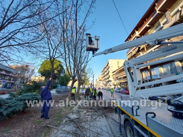 Εργασίες κοπής επικίνδυνων κλαδιών από τα συνεργεία του Δήμου Αλεξάνδρειας