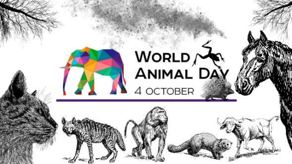 4/10 &Pi;&alpha;&gamma;&kappa;ό&sigma;&mu;&iota;&alpha; &Mu;έ&rho;&alpha; &Zeta;ώ&omega;&nu;: 98 &chi;&rho;ό&nu;&iota;&alpha; &pi;&epsilon;&pi;&omicron;&iota;&theta;ή&sigma;&epsilon;&omega;&nu;, &epsilon;&pi;&iota;&lambda;&omicron;&gamma;ώ&nu; &kappa;&alpha;&iota; &alpha;&lambda;&lambda;&alpha;&gamma;ώ&nu; - &Gamma;&rho;ά&phi;&epsilon;&iota; &eta; &Kappa;&alpha;&tau;&epsilon;&rho;ί&nu;&alpha; &Pi;&alpha;&pi;&alpha;&pi;&omicron;&sigma;&tau;ό&lambda;&omicron;&upsilon;