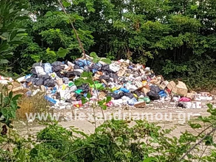 &quot;Υγειονομική βόμβα&quot; για τη δημόσια υγεία σε απόσταση αναπνοής από το Αμφιθέατρο Αλεξάνδρειας (φώτο)